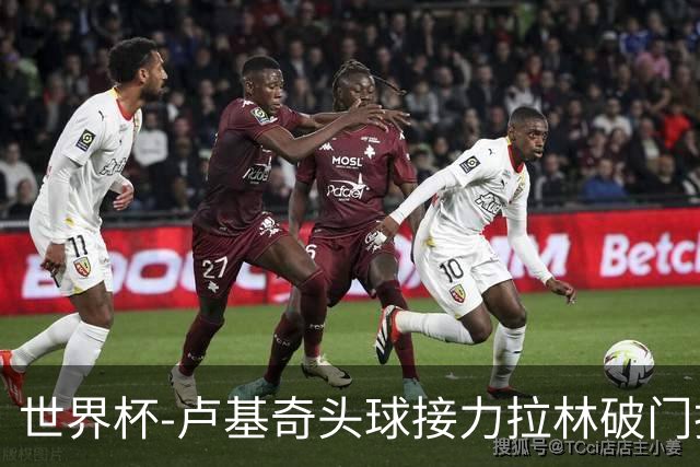 世界杯-卢基奇头球接力拉林破门扳平 加拿大1-1波黑
