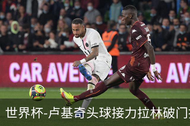 世界杯-卢基奇头球接力拉林破门扳平 加拿大1-1波黑